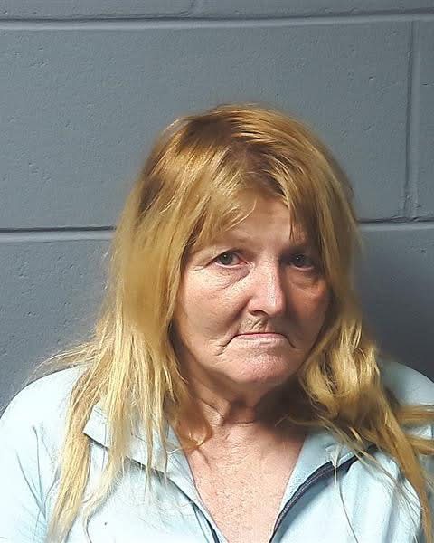 Booking photo — Sheila L Labo