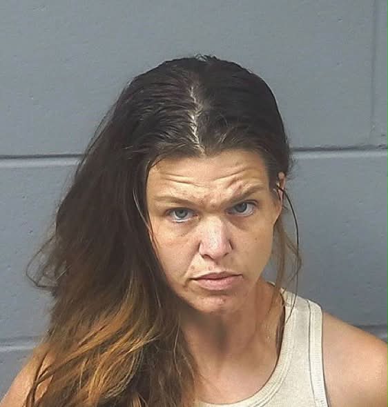 Booking photo — Michelle A. Schroeder